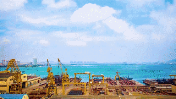 开云体育app下载